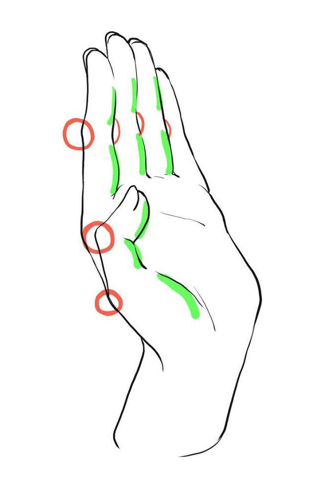 如何绘制一个具有立体感的手.jpg