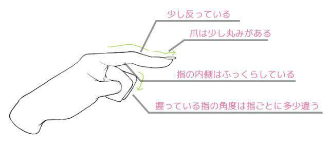 手指，指甲和关节的画法.jpg