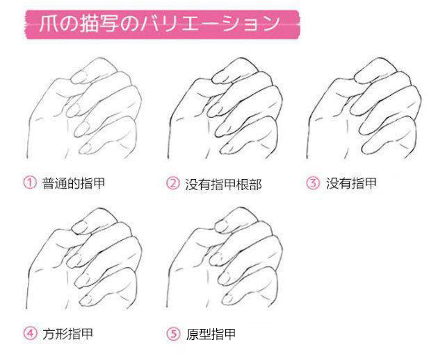 五种类型的指甲的适用情况.jpg