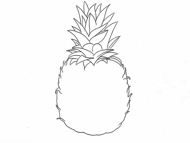 步骤三:在菠萝果实上画出密密麻麻的苞片,半圆形,要画出尖细的边缘